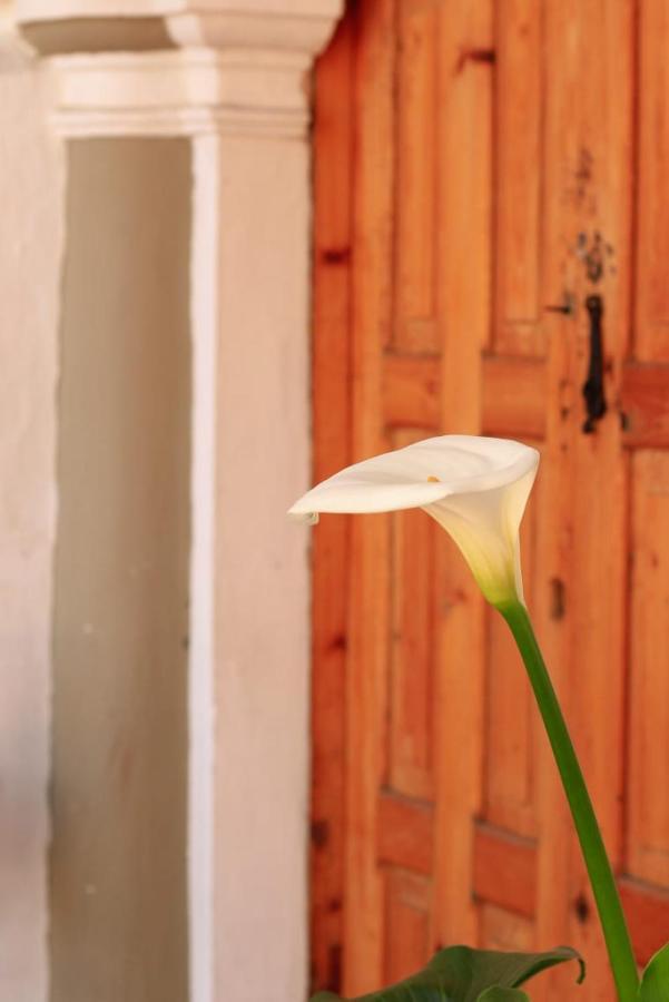 Fandango Hostel San Cristobal de las Casas Ngoại thất bức ảnh