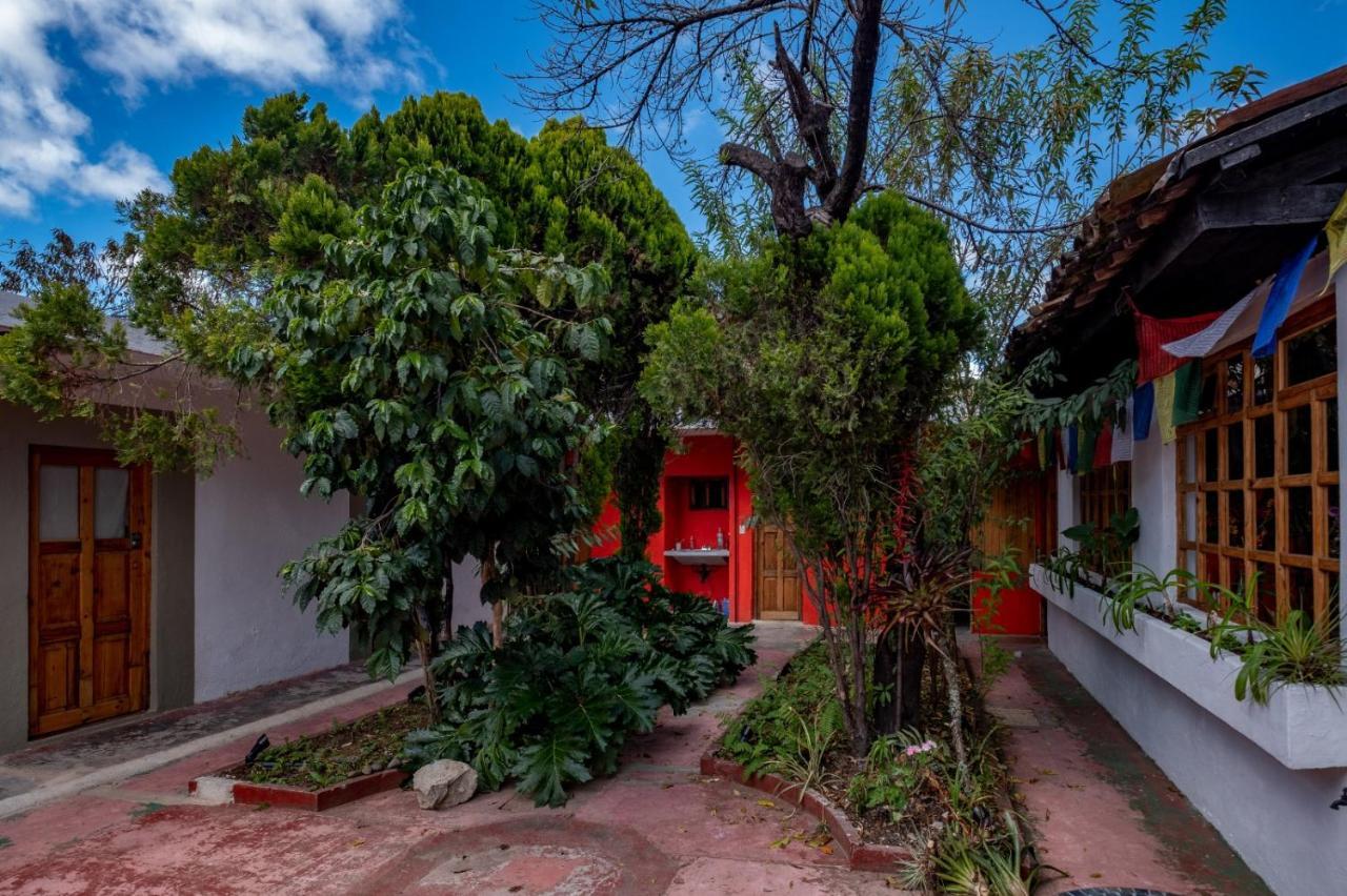 Fandango Hostel San Cristobal de las Casas Ngoại thất bức ảnh